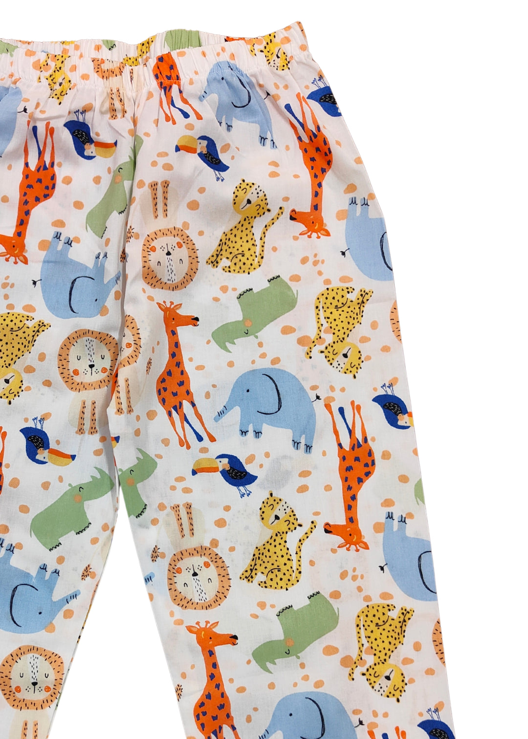 Colorful Animals Print Long Sleeve Kids Night Suit