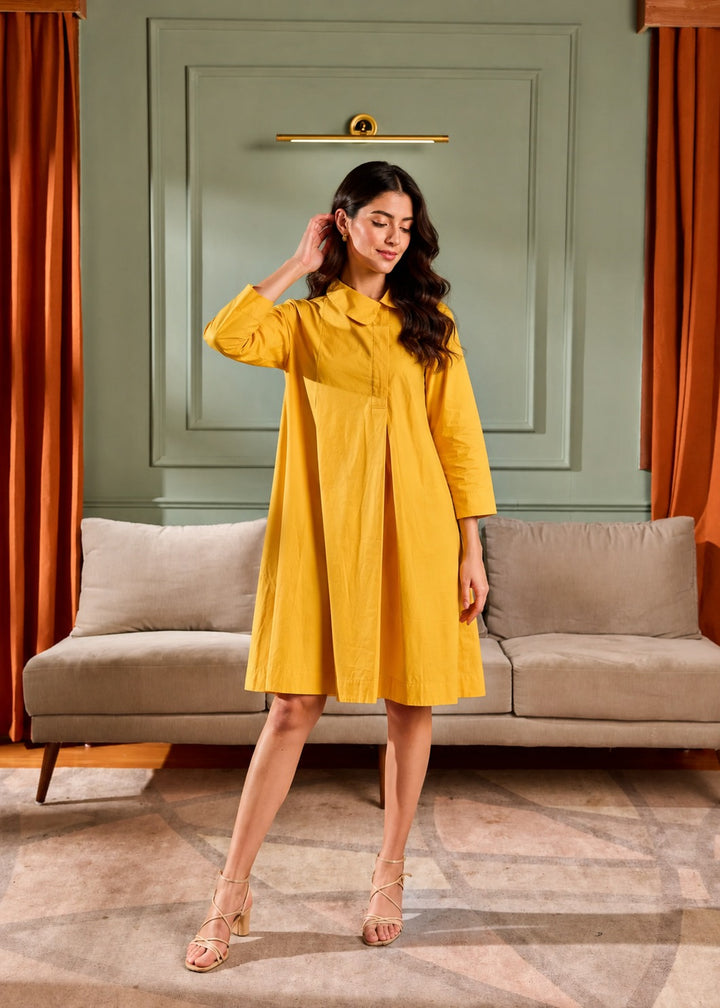 Long Sleeve Collared Neck Swing Dress with Pockets